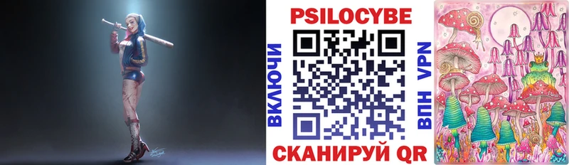 Купить закладки Крым Псилоцибиновые грибы мицелий